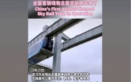 外交部转发！武汉空轨上有羊驼