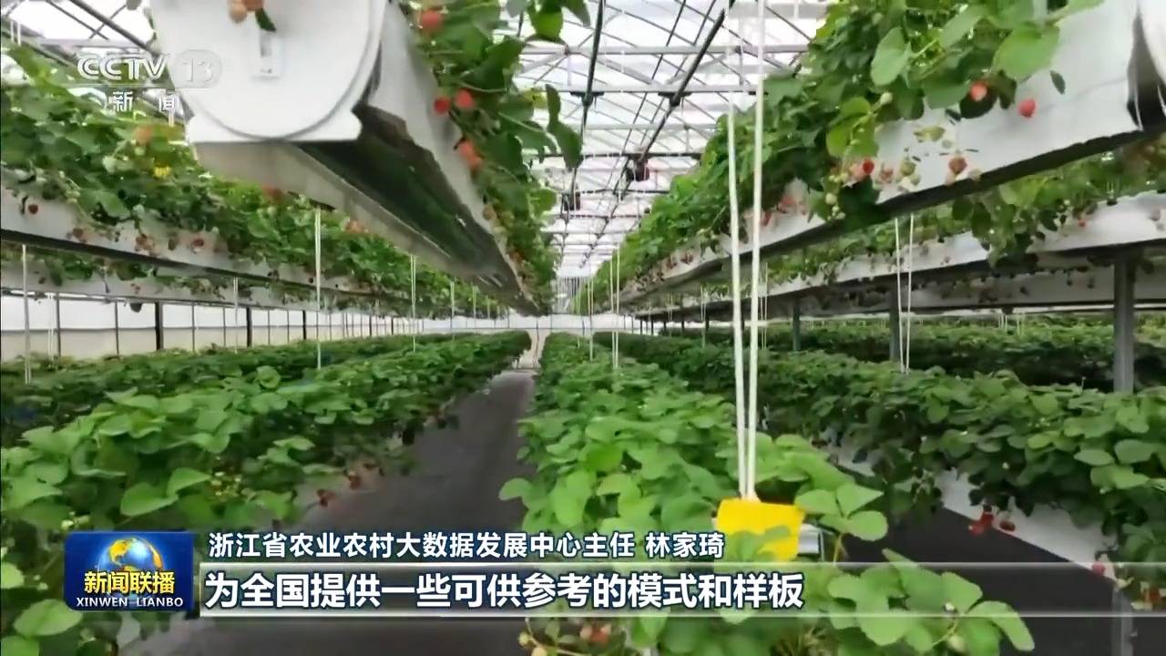 新思想引领新征程丨加快建设数字乡村 推进农业农村现代化