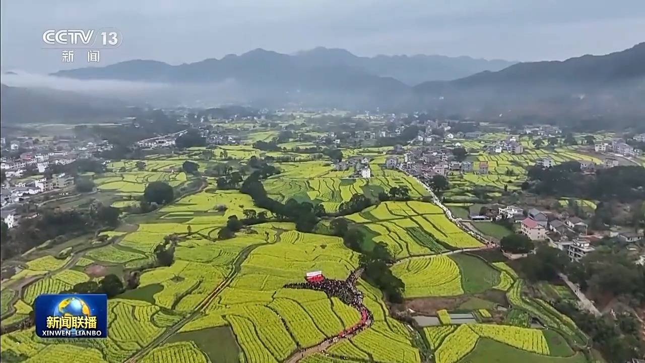 新思想引领新征程丨加快建设数字乡村 推进农业农村现代化